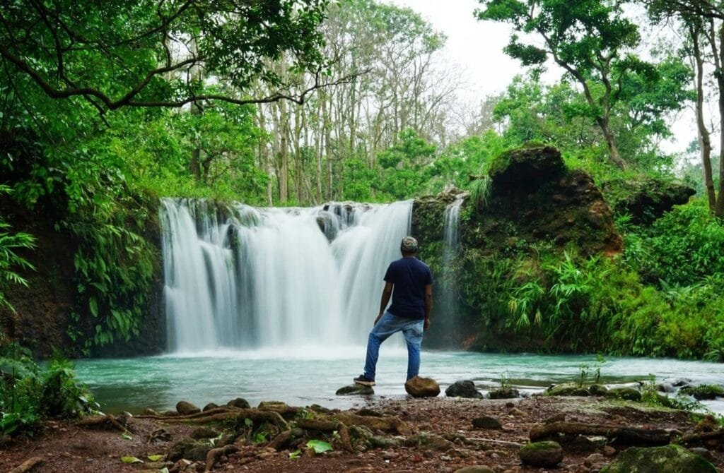 Monsoon in Chhattisgarh: 5 Breathtaking Places You Must Visit This Rainy Season 2 469861219 9118838921543714 5866092066902350838 n