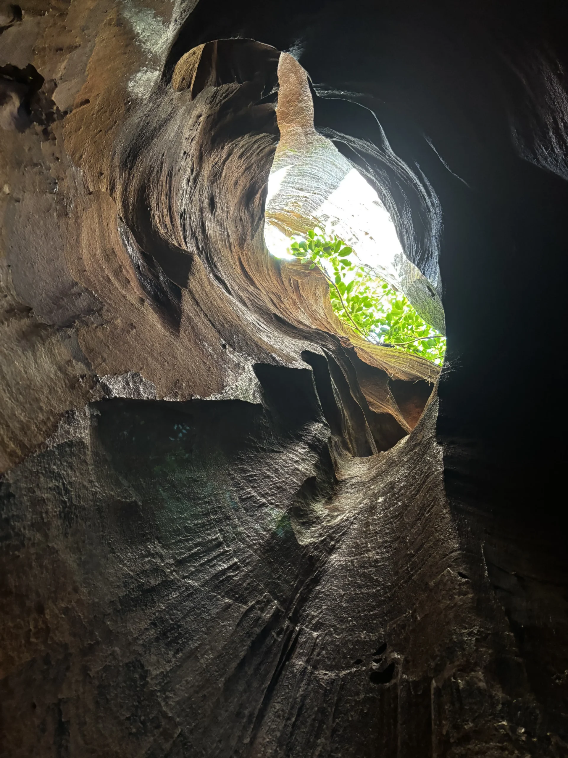 Chhattisgarh Jungle Trek: Epic Adventures Through Caves, River & Wild Trails: Best Trek to do in 2025 3 IMG 5208 scaled
