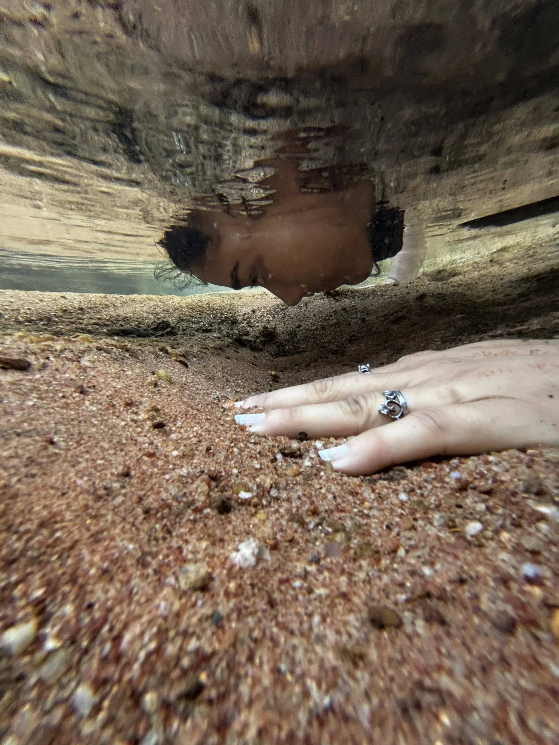 Chhattisgarh Jungle Trek: Epic Adventures Through Caves, River & Wild Trails: Best Trek to do in 2025 7 Chhattisgarh Jungle Trek